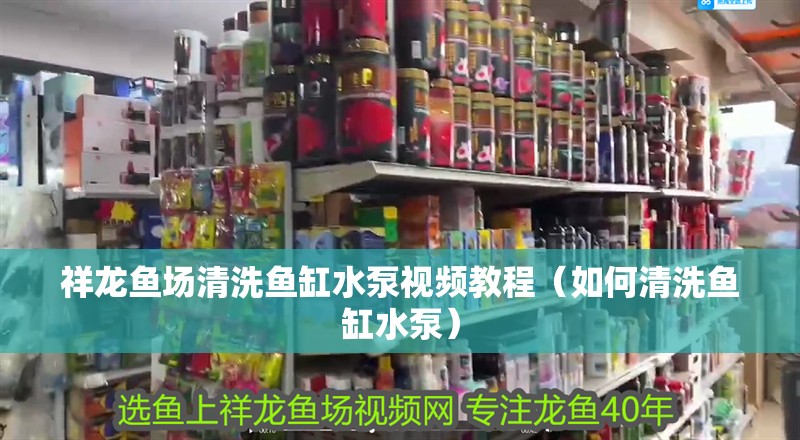 祥龍魚場清洗魚缸水泵視頻教程（如何清洗魚缸水泵）