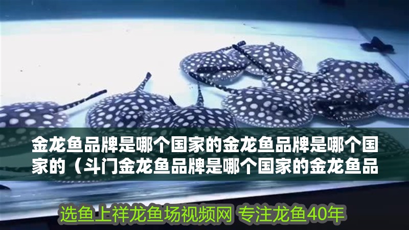 金龍魚品牌是哪個國家的金龍魚品牌是哪個國家的（斗門金龍魚品牌是哪個國家的金龍魚品牌是哪個國家的）