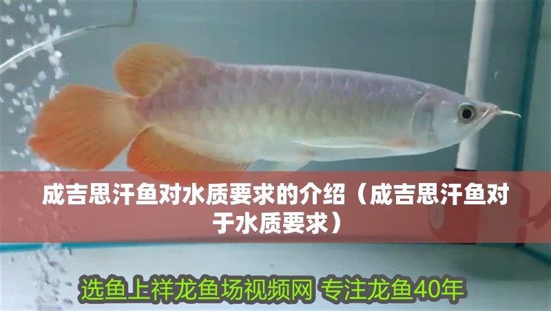 成吉思汗魚對水質要求的介紹（成吉思汗魚對于水質要求）