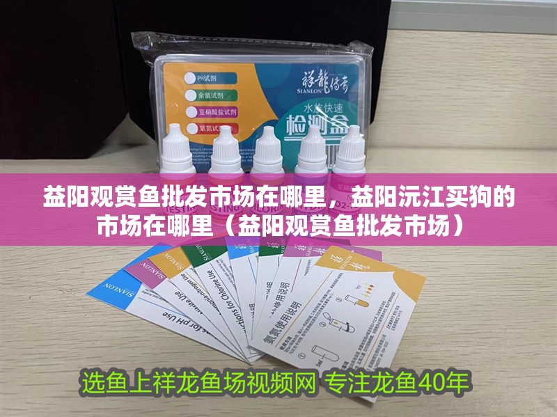益陽觀賞魚批發市場在哪里，益陽沅江買狗的市場在哪里（益陽觀賞魚批發市場）