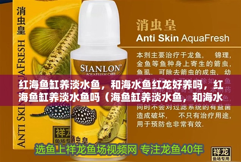 紅海魚缸養(yǎng)淡水魚，和海水魚紅龍好養(yǎng)嗎，紅海魚缸養(yǎng)淡水魚嗎（海魚缸養(yǎng)淡水魚，和海水魚紅龍好養(yǎng)嗎對(duì)應(yīng)的相關(guān)信息）