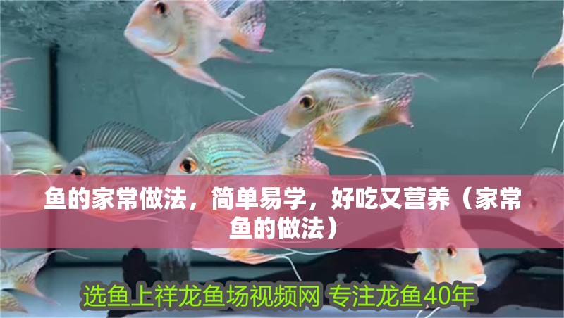 魚的家常做法,簡單易學,好吃又營養(家常魚的做法)