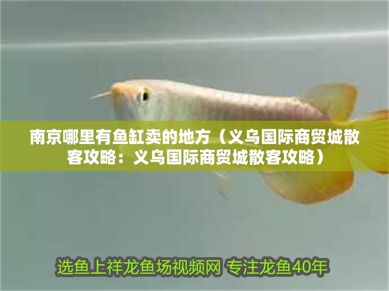 南京哪里有魚缸賣的地方（義烏國際商貿城散客攻略：義烏國際商貿城散客攻略） 南京哪里有魚缸賣的地方（義烏國際商貿城散客攻略：義烏國際商貿城散客攻略） 觀賞魚百科