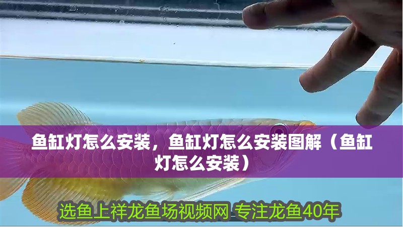 魚缸燈怎么安裝，魚缸燈怎么安裝圖解（魚缸燈怎么安裝）