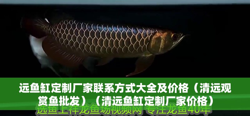 遠魚缸定制廠家聯系方式大全及價格（清遠觀賞魚批發）（清遠魚缸定制廠家價格）