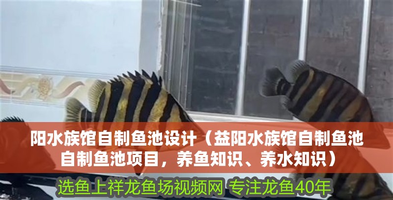 陽水族館自制魚池設計（益陽水族館自制魚池自制魚池項目，養魚知識、養水知識）