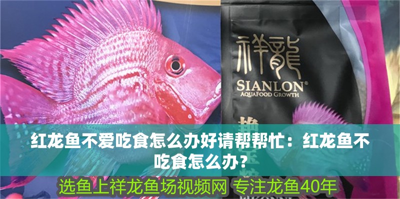 紅龍魚不愛吃食怎么辦好請幫幫忙：紅龍魚不吃食怎么辦？
