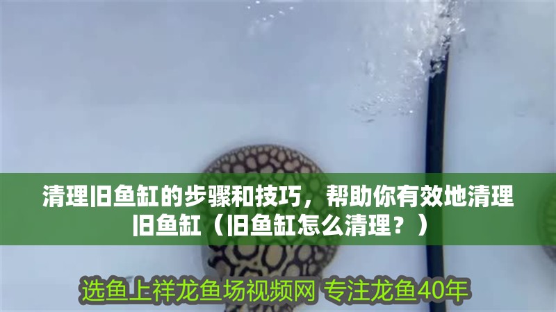 清理舊魚(yú)缸的步驟和技巧，幫助你有效地清理舊魚(yú)缸（舊魚(yú)缸怎么清理？）