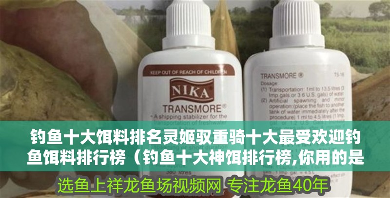 釣魚十大餌料排名靈姬馭重騎十大最受歡迎釣魚餌料排行榜（釣魚十大神餌排行榜,你用的是哪款）