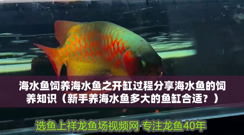 海水魚飼養海水魚之開缸過程分享海水魚的飼養知識（新手養海水魚多大的魚缸合適？）