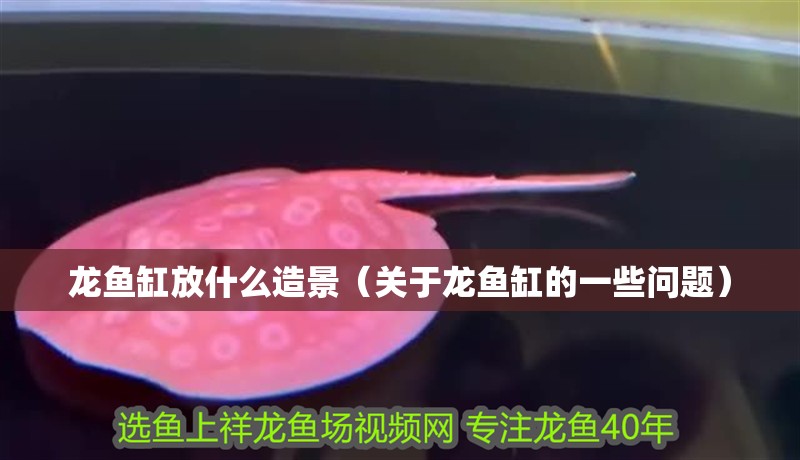 龍魚缸放什么造景（關(guān)于龍魚缸的一些問(wèn)題）