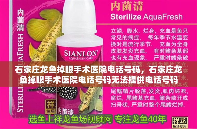 石家莊龍魚掉眼手術醫(yī)院電話號碼，石家莊龍魚掉眼手術醫(yī)院電話號碼無法提供電話號碼 石家莊龍魚掉眼手術醫(yī)院電話號碼，石家莊龍魚掉眼手術醫(yī)院電話號碼無法提供電話號碼 觀賞魚百科 第3張