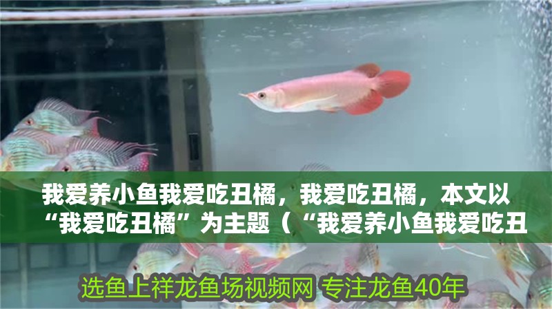 我愛養小魚我愛吃丑橘，我愛吃丑橘，本文以“我愛吃丑橘”為主題（“我愛養小魚我愛吃丑橘”）