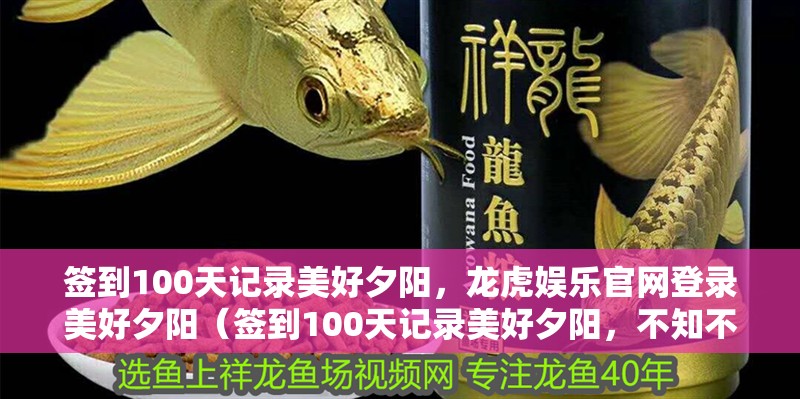 簽到100天記錄美好夕陽(yáng)，龍虎娛樂(lè)官網(wǎng)登錄美好夕陽(yáng)（簽到100天記錄美好夕陽(yáng)，不知不覺(jué)連續(xù)簽到100天了）