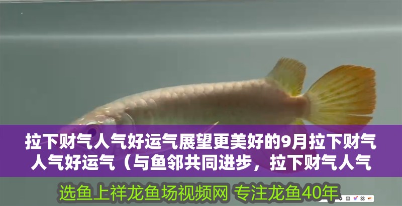 拉下財氣人氣好運氣展望更美好的9月拉下財氣人氣好運氣（與魚鄰共同進步，拉下財氣人氣好運氣）