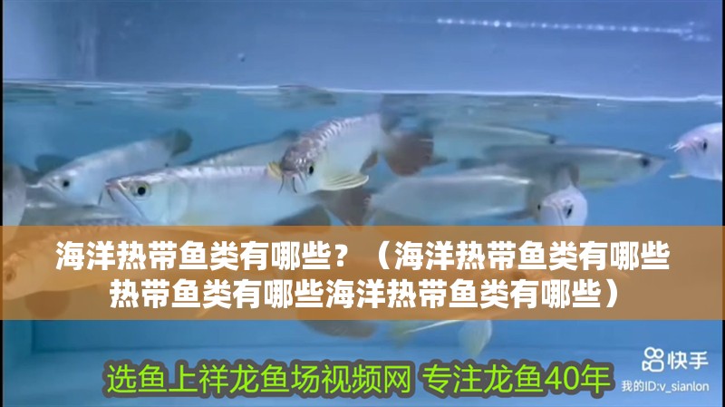 海洋熱帶魚類有哪些？（海洋熱帶魚類有哪些熱帶魚類有哪些海洋熱帶魚類有哪些）