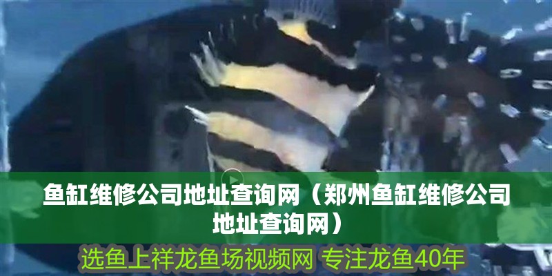 魚缸維修公司地址查詢網（鄭州魚缸維修公司地址查詢網）