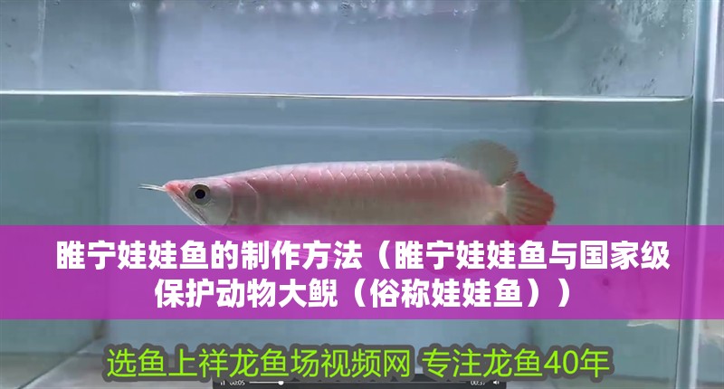 睢寧娃娃魚的制作方法（睢寧娃娃魚與國家級保護動物大鯢（俗稱娃娃魚））