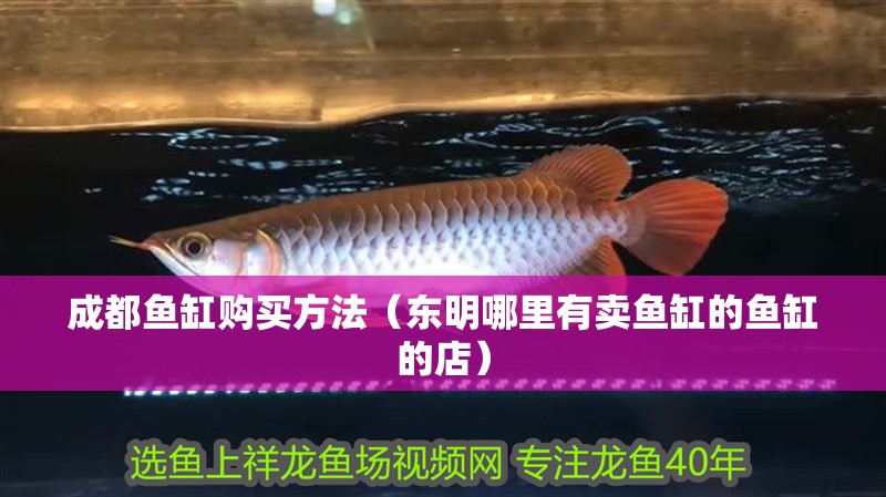 成都魚缸購買方法（東明哪里有賣魚缸的魚缸的店） 成都魚缸購買方法（東明哪里有賣魚缸的魚缸的店） 觀賞魚百科