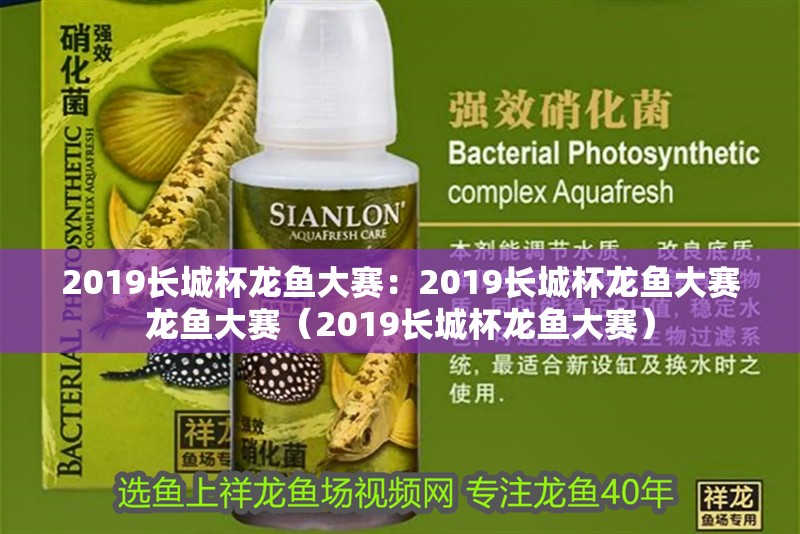2019長城杯龍魚大賽：2019長城杯龍魚大賽龍魚大賽（2019長城杯龍魚大賽）