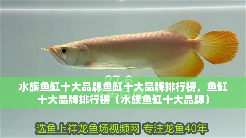 水族魚缸十大品牌魚缸十大品牌排行榜，魚缸十大品牌排行榜（水族魚缸十大品牌）