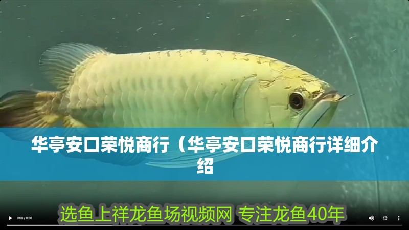 華亭安口榮悅商行（華亭安口榮悅商行詳細(xì)介紹