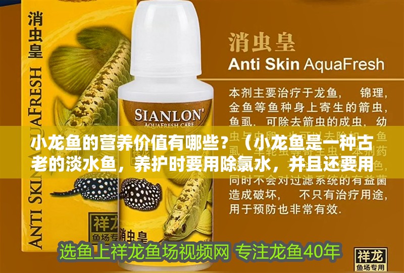 小龍魚的營養價值有哪些？（小龍魚是一種古老的淡水魚，養護時要用除氯水，并且還要用除氯水）