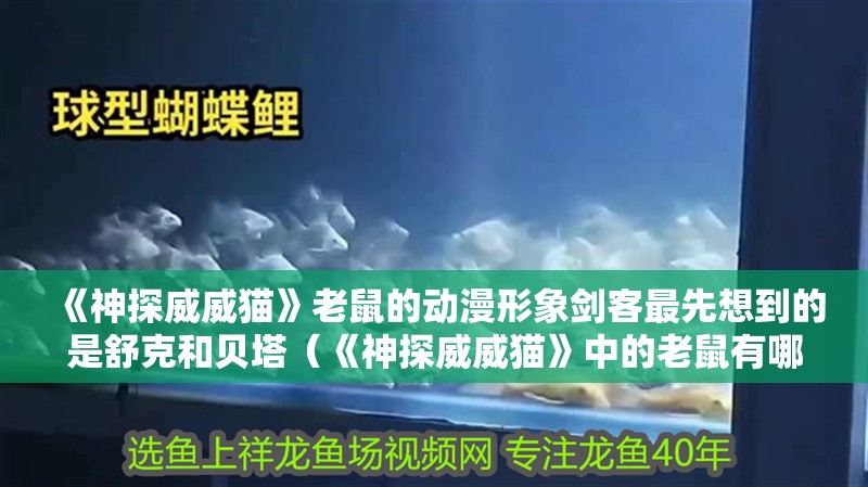 《神探威威貓》老鼠的動漫形象劍客最先想到的是舒克和貝塔（《神探威威貓》中的老鼠有哪些動漫形象）