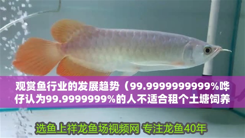 觀賞魚行業的發展趨勢（99.9999999999%嘩仔認為99.9999999%的人不適合租個土塘飼養觀賞魚）