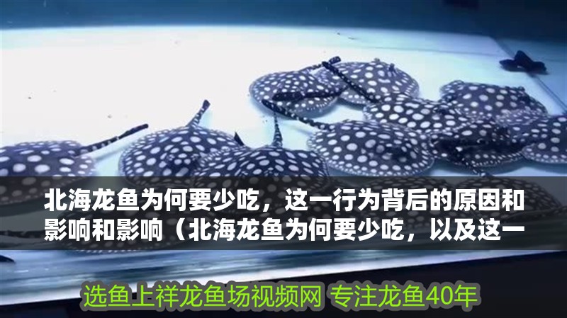 北海龍魚為何要少吃，這一行為背后的原因和影響和影響（北海龍魚為何要少吃，以及這一行為背后的原因和影響）