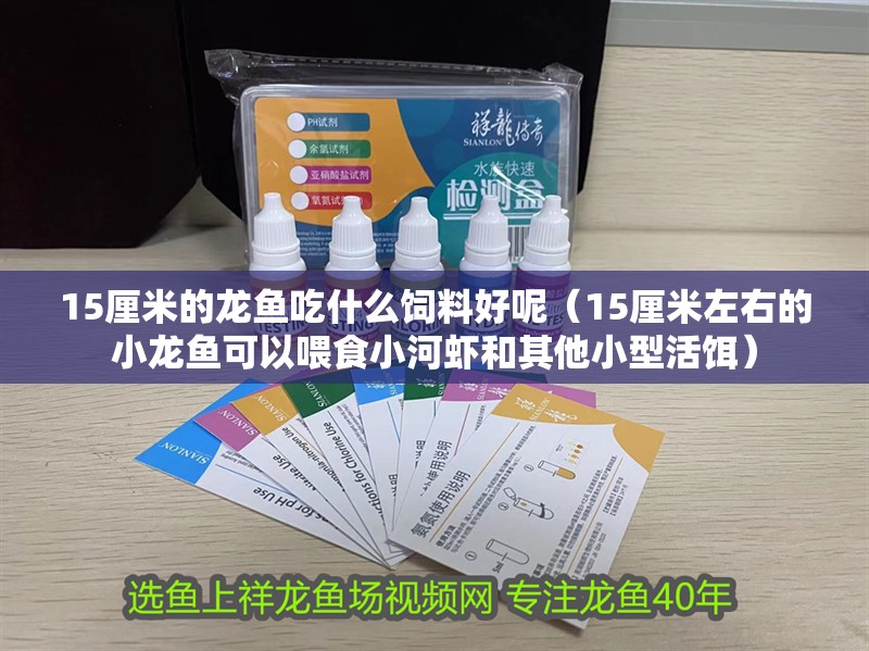 15厘米的龍魚吃什么飼料好呢（15厘米左右的小龍魚可以喂食小河蝦和其他小型活餌）