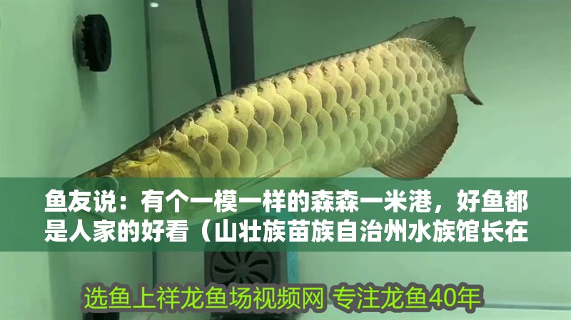 魚友說：有個一模一樣的森森一米港，好魚都是人家的好看（山壯族苗族自治州水族館長在10天的假期中，按照自己的喜好和習(xí)慣）