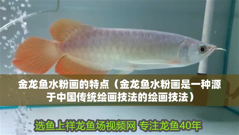 金龍魚水粉畫的特點（金龍魚水粉畫是一種源于中國傳統繪畫技法的繪畫技法）