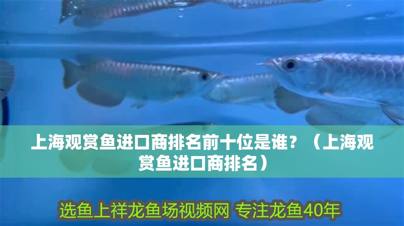 上海觀賞魚進口商排名前十位是誰？（上海觀賞魚進口商排名）