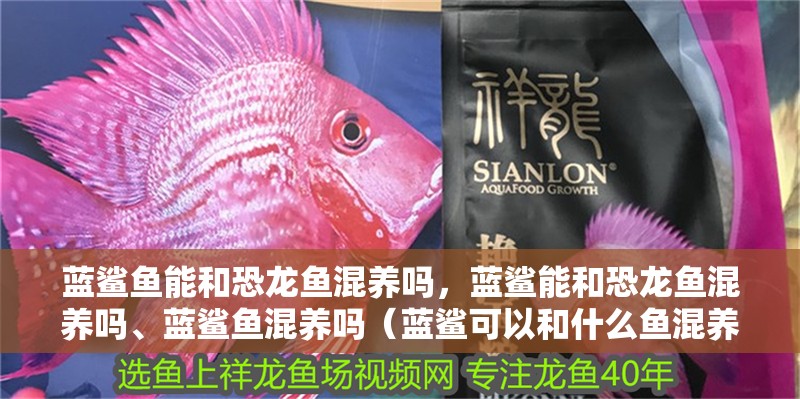藍鯊魚能和恐龍魚混養(yǎng)嗎，藍鯊能和恐龍魚混養(yǎng)嗎、藍鯊魚混養(yǎng)嗎（藍鯊可以和什么魚混養(yǎng)）