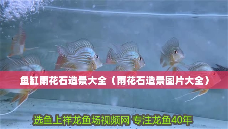 魚缸雨花石造景大全（雨花石造景圖片大全）