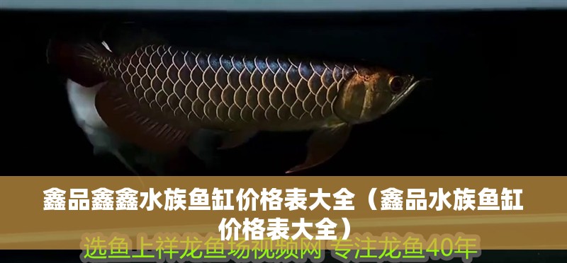 鑫品鑫鑫水族魚缸價(jià)格表大全（鑫品水族魚缸價(jià)格表大全）