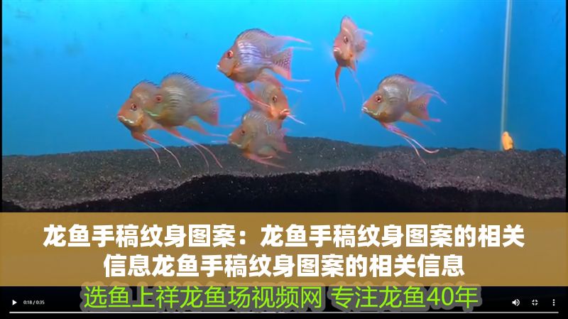 龍魚手稿紋身圖案：龍魚手稿紋身圖案的相關(guān)信息龍魚手稿紋身圖案的相關(guān)信息 龍魚手稿紋身圖案：龍魚手稿紋身圖案的相關(guān)信息龍魚手稿紋身圖案的相關(guān)信息 龍魚百科 第2張