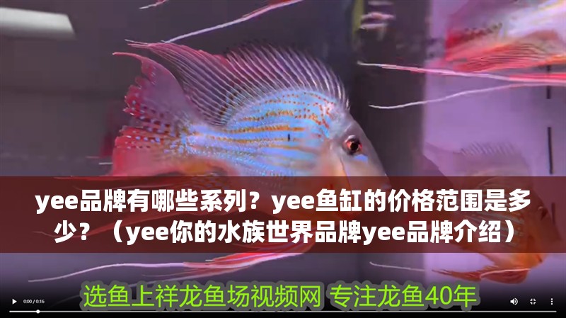 yee品牌有哪些系列？yee魚缸的價格范圍是多少？（yee你的水族世界品牌yee品牌介紹）