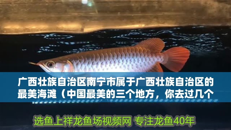 廣西壯族自治區(qū)南寧市屬于廣西壯族自治區(qū)的最美海灘（中國最美的三個地方，你去過幾個？） 廣西壯族自治區(qū)南寧市屬于廣西壯族自治區(qū)的最美海灘（中國最美的三個地方，你去過幾個？） 觀賞魚百科 第2張