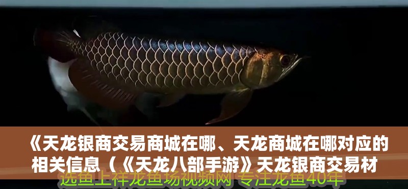 《天龍銀商交易商城在哪、天龍商城在哪對應的相關信息（《天龍八部手游》天龍銀商交易材料交易方法） 《天龍銀商交易商城在哪、天龍商城在哪對應的相關信息（《天龍八部手游》天龍銀商交易材料交易方法） 觀賞魚百科