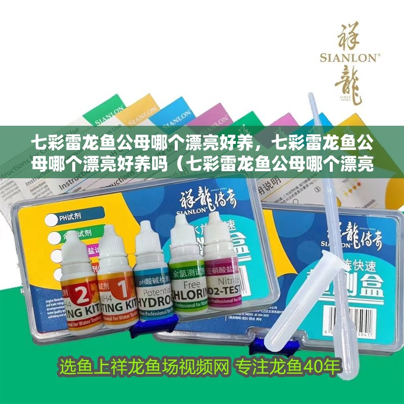 七彩雷龍魚公母哪個漂亮好養，七彩雷龍魚公母哪個漂亮好養嗎（七彩雷龍魚公母哪個漂亮好養）