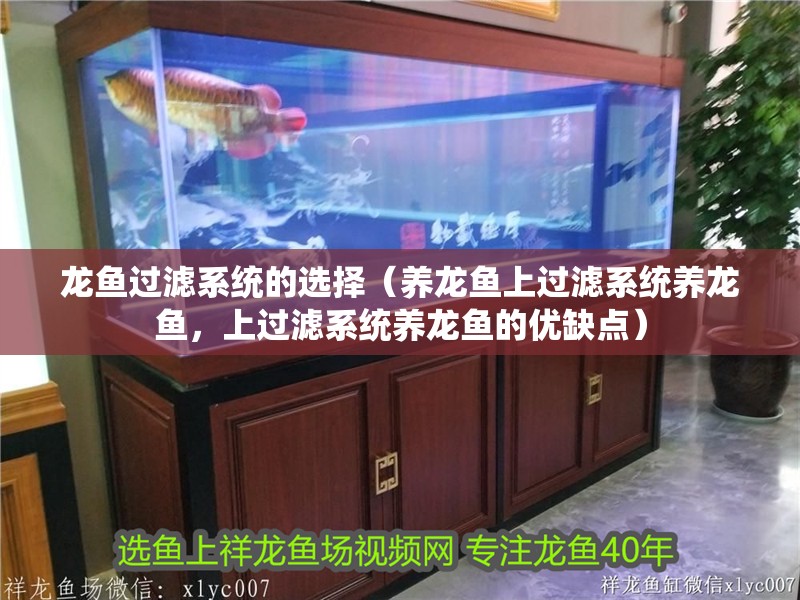 龍魚過濾系統的選擇（養龍魚上過濾系統養龍魚，上過濾系統養龍魚的優缺點）