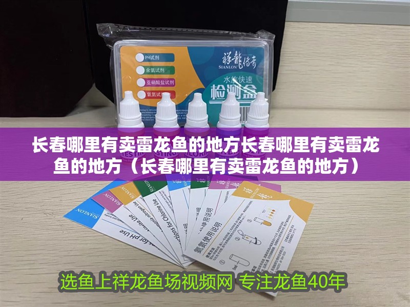 長春哪里有賣雷龍魚的地方長春哪里有賣雷龍魚的地方（長春哪里有賣雷龍魚的地方）