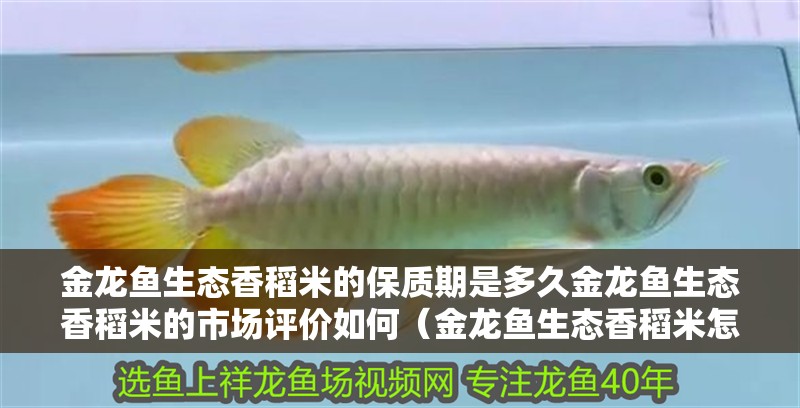 金龍魚生態香稻米的保質期是多久金龍魚生態香稻米的市場評價如何（金龍魚生態香稻米怎么選） 金龍魚生態香稻米的保質期是多久金龍魚生態香稻米的市場評價如何（金龍魚生態香稻米怎么選） 觀賞魚百科 第5張