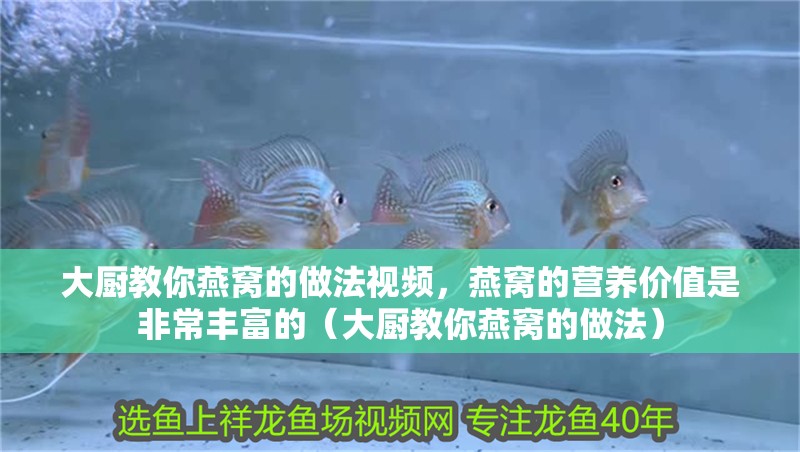 大廚教你燕窩的做法視頻，燕窩的營養(yǎng)價值是非常豐富的（大廚教你燕窩的做法）