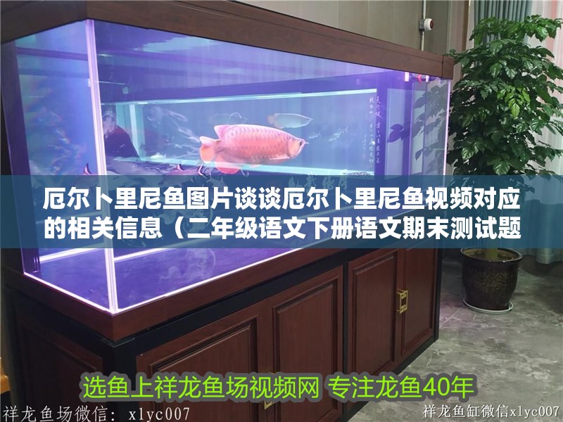 厄爾卜里尼魚圖片談?wù)劧驙柌防锬狒~視頻對應(yīng)的相關(guān)信息（二年級語文下冊語文期末測試題）
