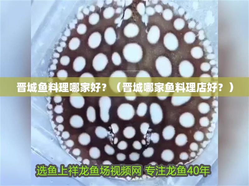 晉城魚料理哪家好？（晉城哪家魚料理店好？）