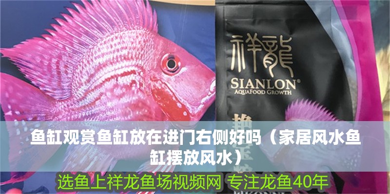 魚缸觀賞魚缸放在進門右側好嗎（家居風水魚缸擺放風水）