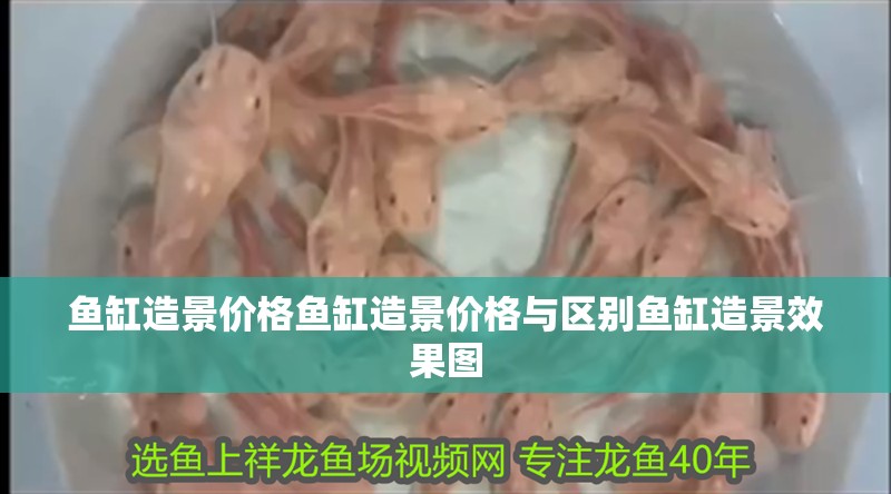 魚缸造景價格魚缸造景價格與區別魚缸造景效果圖